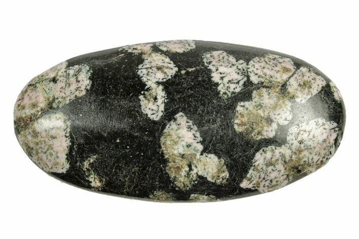 Polished Snowflake Stone - Pakistan #252598